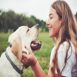 pets-care-service-3